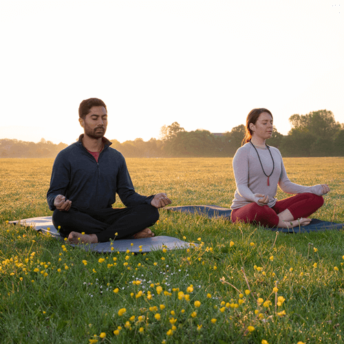 wellness retreat in india